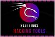 Kali Linux Uma Ferramenta Poderosa para Testes de Penetraçã